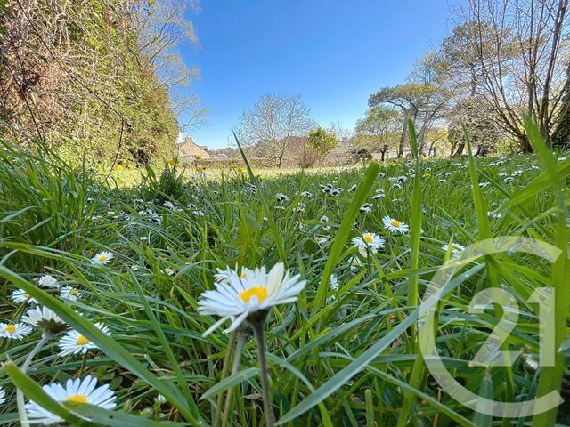 maison à vendre - 8 pièces - 158.0 m2 - ARRADON - 56 - BRETAGNE - Century 21 Immobilière Du Golfe