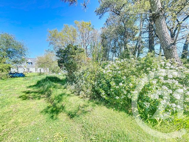 maison à vendre - 5 pièces - 114.64 m2 - ARRADON - 56 - BRETAGNE - Century 21 Immobilière Du Golfe