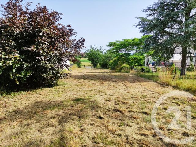 terrain à vendre - 770.0 m2 - BADEN - 56 - BRETAGNE - Century 21 Immobilière Du Golfe